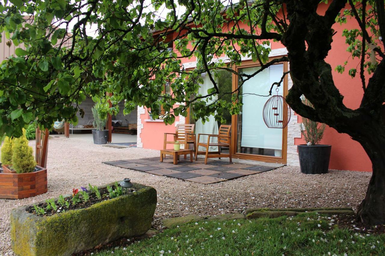 Gite Au Centre De L'Alsace Scherwiller Экстерьер фото